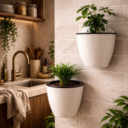 Vaso de Parede Autoirrigável para Plantas e Flores