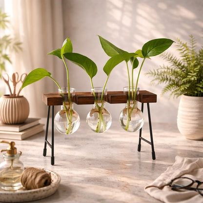 Vaso de Vidro para Hidroponia com Suporte de Madeira