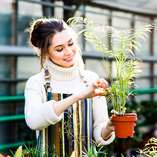 Jovem sorridente cuidando de planta em vaso laranja, usando suéter branco e avental listrado em estufa