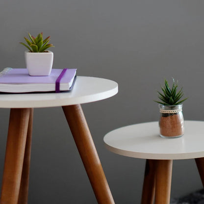 Mesas de canto brancas com pernas de madeira, caderno lilás e suculentas em vasos modernos