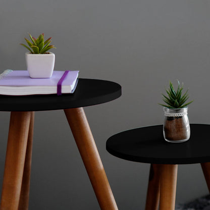 Mesas laterais pretas com pernas de madeira, com plantas suculentas em vasos e um caderno lilás